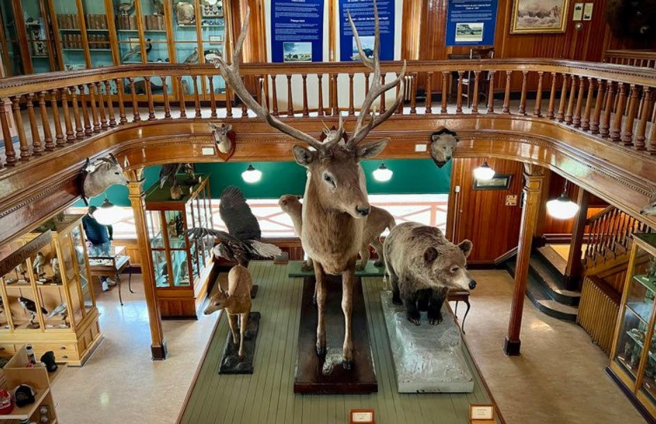 Banff Park Museum, Banff, Alberta, Canada